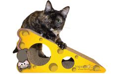Food Scratch n Shapes by Imperial Cat