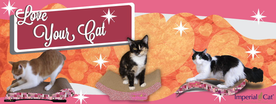 Imperial Cat Enhancing Your Cat's Life